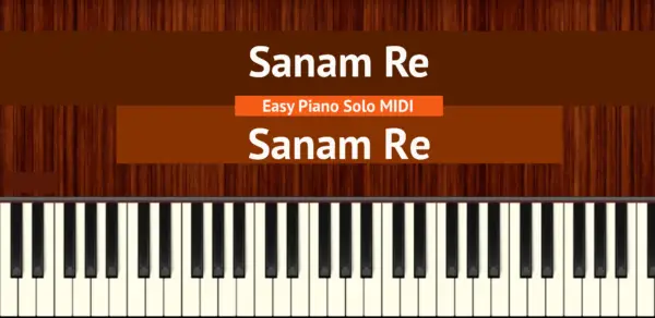 Sanam Re