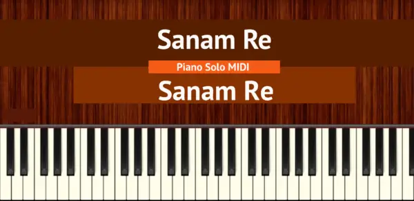 Sanam Re