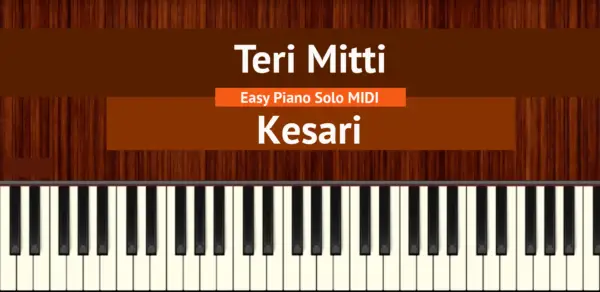 Teri Mitti