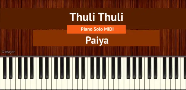 Thuli Thuli