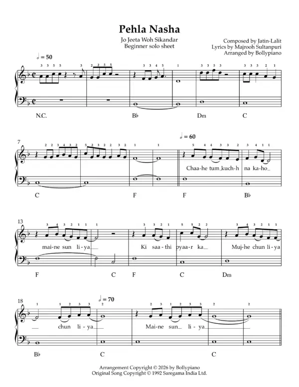 Pehla Nasha Beginner Solo Sheet