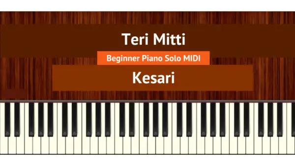 Teri Mitti