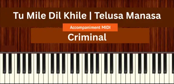 Tu Mile Dil Khile | Telusa Manasa